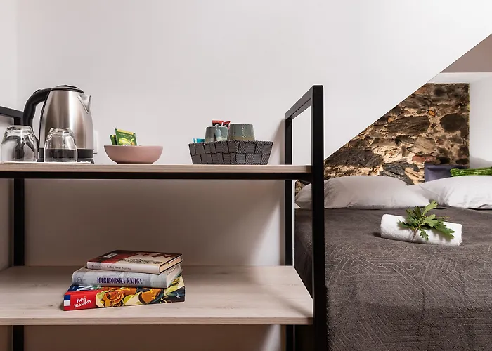 Fani&rozi Bed & Breakfast Maribor